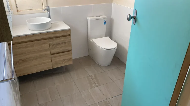 Small modern bathroom with toilet and timber vanity
