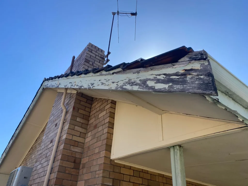 Peeling paint and rotting timber on roof eaves