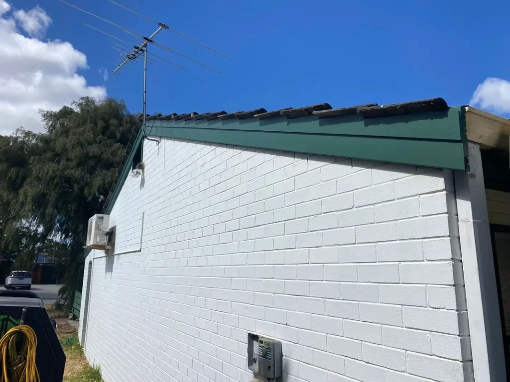 Oil-Based vs Water-Based Paint: When to Use Each